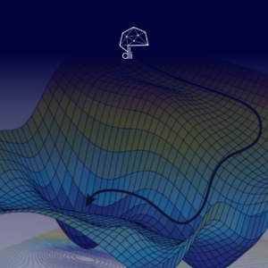 Metodi matematici di ottimizzazione per il Machine Learning