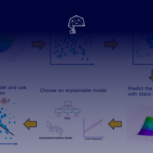 Machine Learning Explanations: LIME